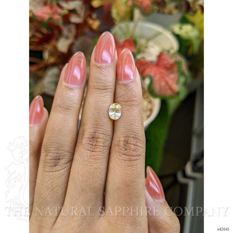 1.63 Ct. Yellow Sapphire from Ceylon (Sri Lanka)