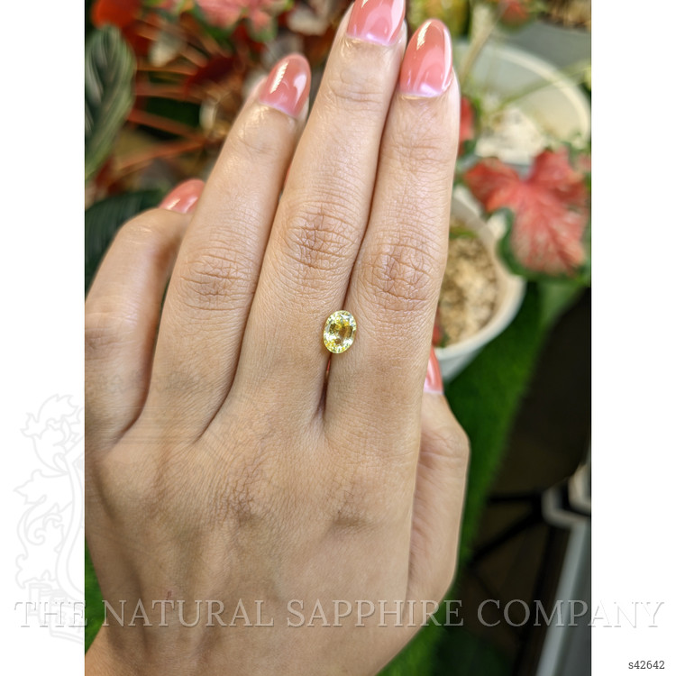 1.60 Ct. Yellow Sapphire from Ceylon (Sri Lanka)
