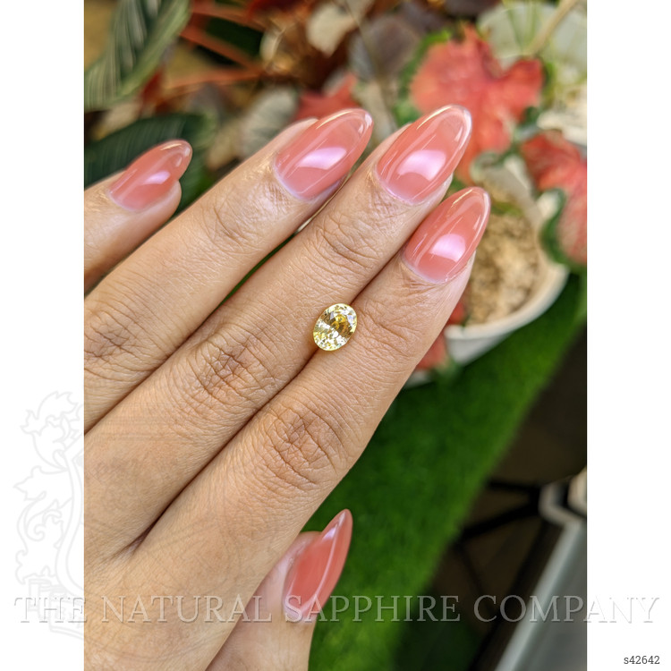 1.60 Ct. Yellow Sapphire from Ceylon (Sri Lanka)