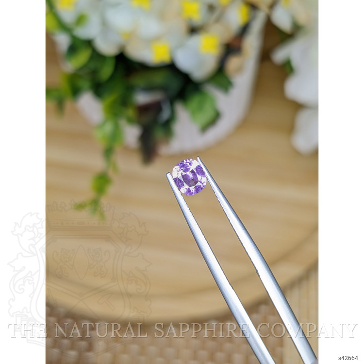 0.53 Ct. Purple Sapphire from Ceylon (Sri Lanka)