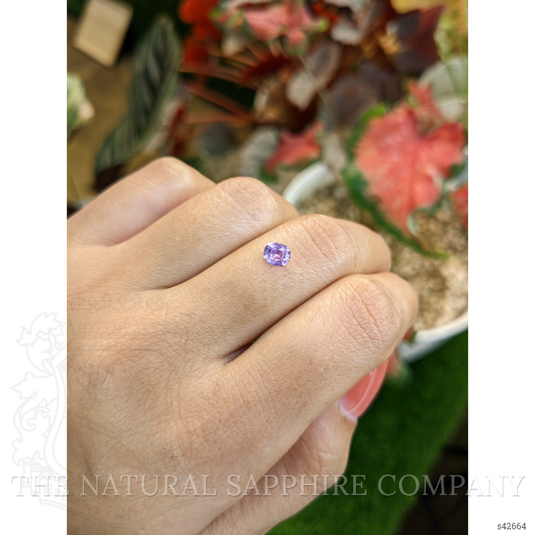 0.53 Ct. Purple Sapphire from Ceylon (Sri Lanka)