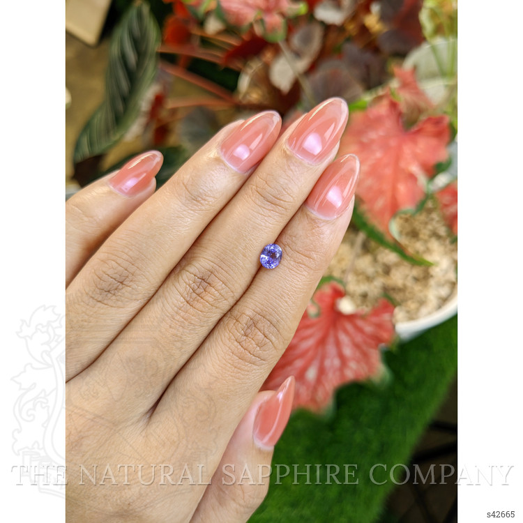 0.72 Ct. Violet Sapphire from Ceylon (Sri Lanka)