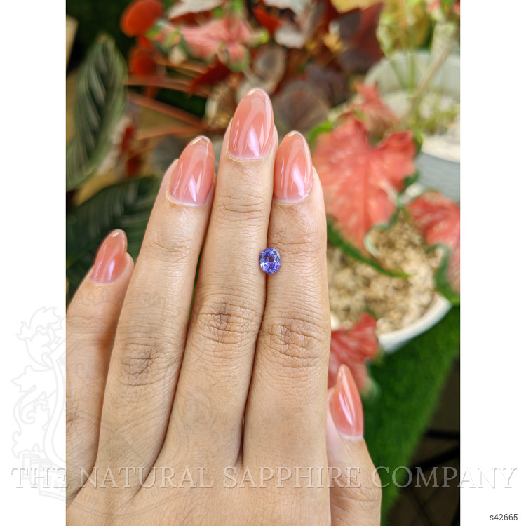 0.72 Ct. Violet Sapphire from Ceylon (Sri Lanka)
