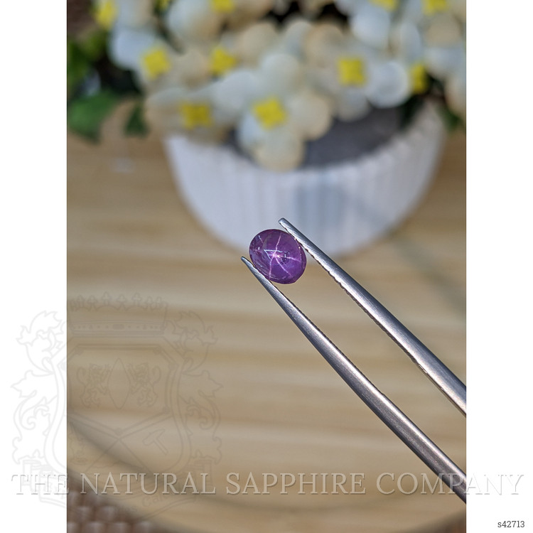 1.15 Ct. Purple Star Sapphire from Ceylon (Sri Lanka)
