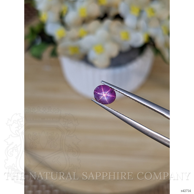1.64 Ct. Pinkish Purple Star Sapphire from Ceylon (Sri Lanka)