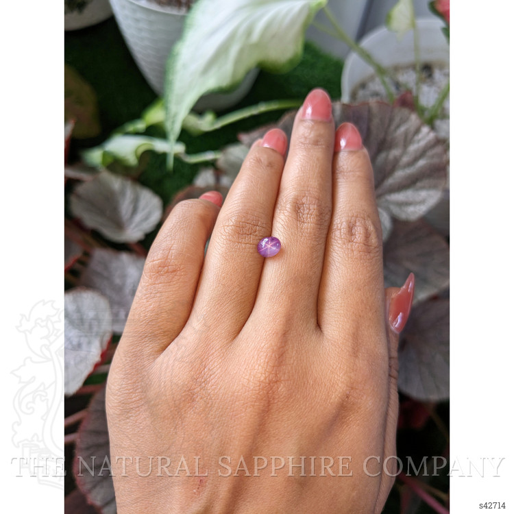 1.64 Ct. Pinkish Purple Star Sapphire from Ceylon (Sri Lanka)