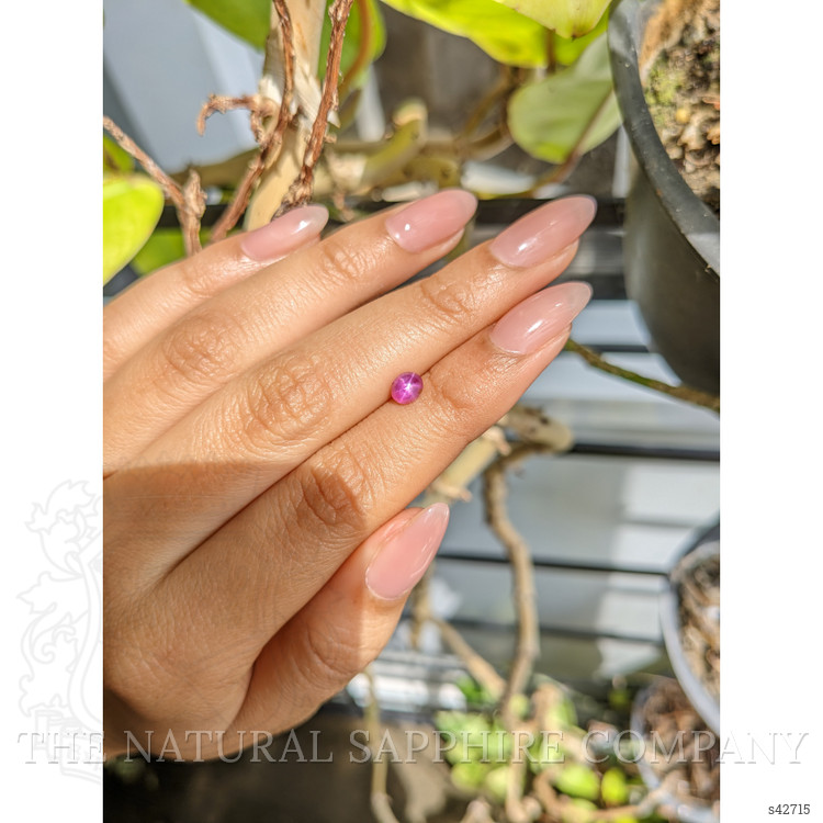 1.10 Ct. Pink Star Sapphire from Ceylon (Sri Lanka)