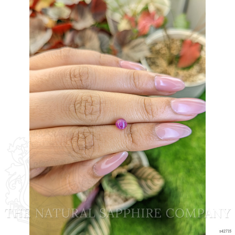 1.10 Ct. Pink Star Sapphire from Ceylon (Sri Lanka)