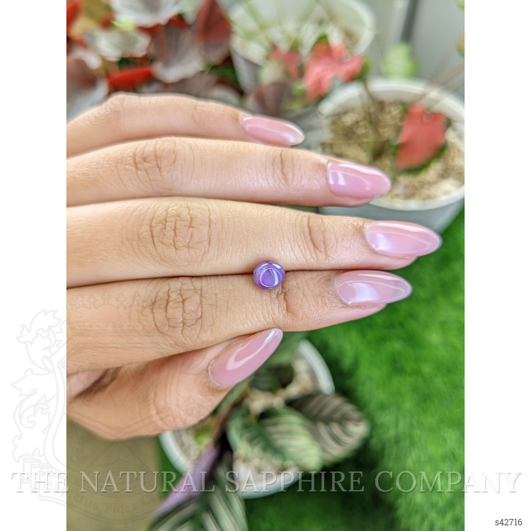 2.06 Ct. Pinkish Purple Star Sapphire from Ceylon (Sri Lanka)