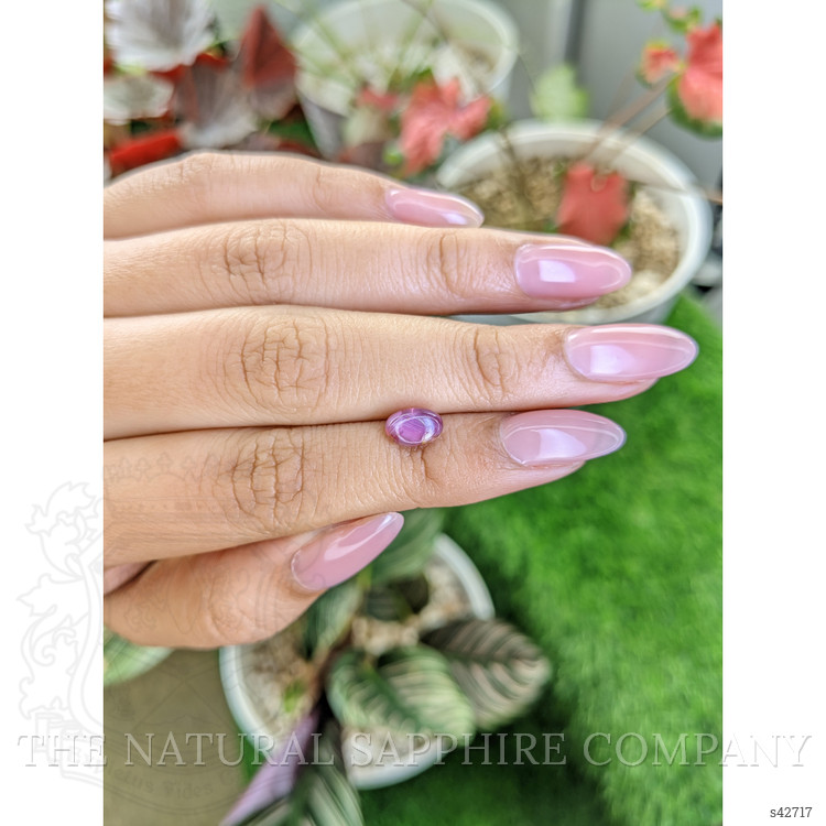 1.66 Ct. Purplish Pink Star Sapphire from Ceylon (Sri Lanka)