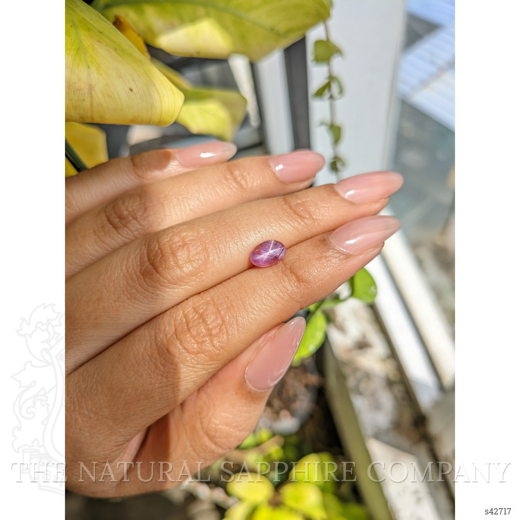 1.66 Ct. Purplish Pink Star Sapphire from Ceylon (Sri Lanka)
