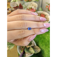 0.79 Ct. Blue Sapphire from Ceylon (Sri Lanka) Life Style