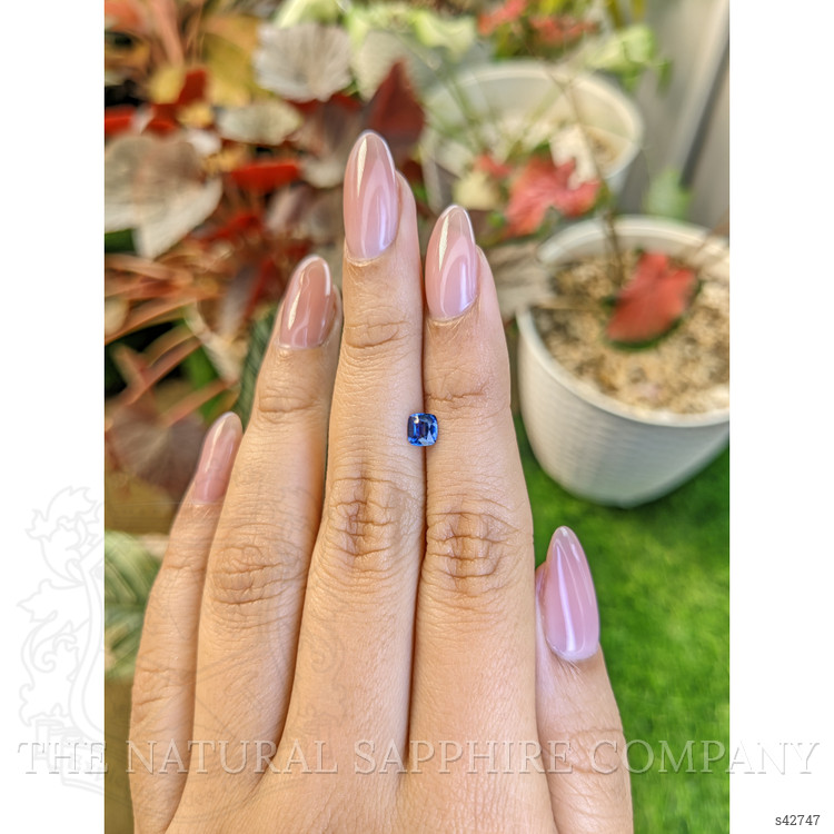 0.50 Ct. Blue Sapphire from Ceylon (Sri Lanka)