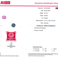 Jewelry Scan Report