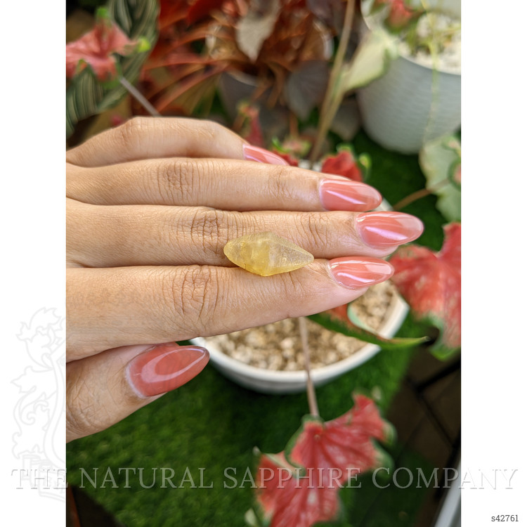 14.81 Ct. Yellow Sapphire from Ceylon (Sri Lanka)