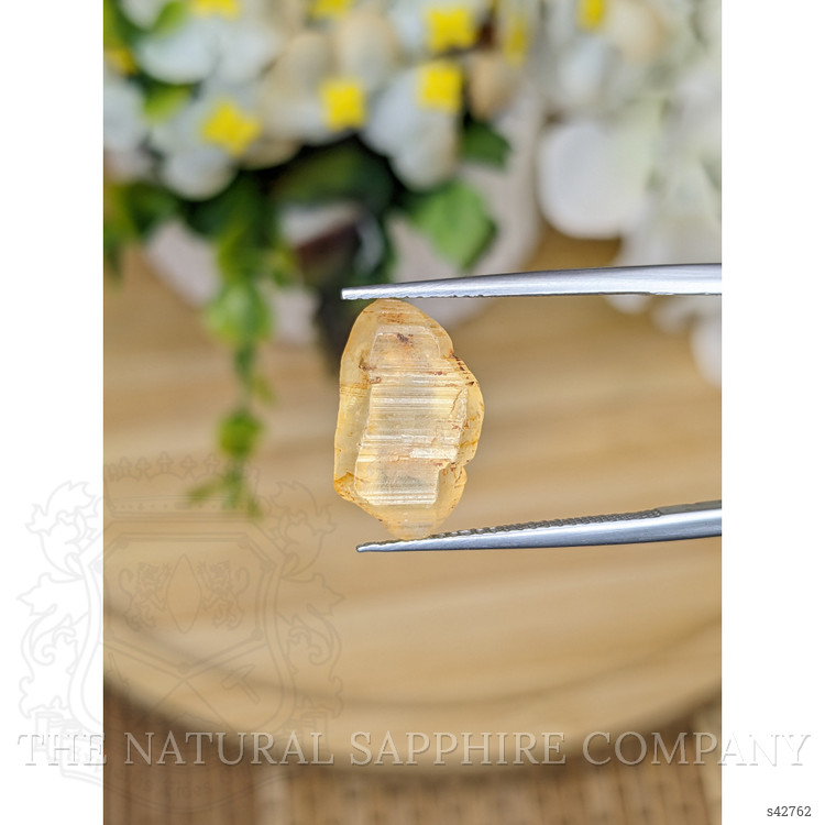 10.40 Ct. Yellow Sapphire from Ceylon (Sri Lanka)