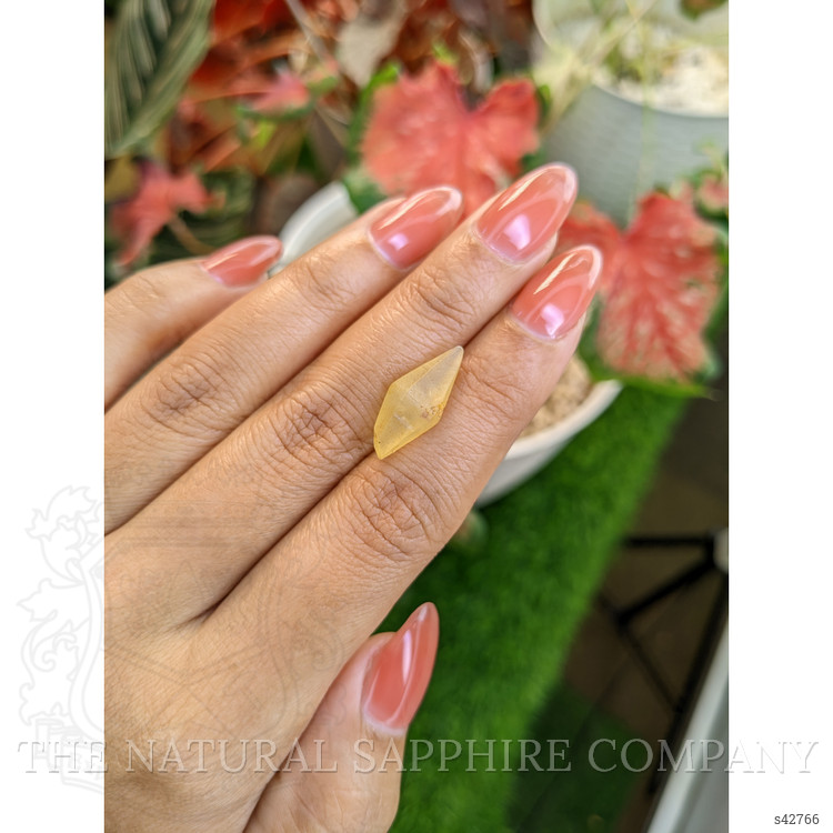 7.70 Ct. Yellow Sapphire from Ceylon (Sri Lanka)