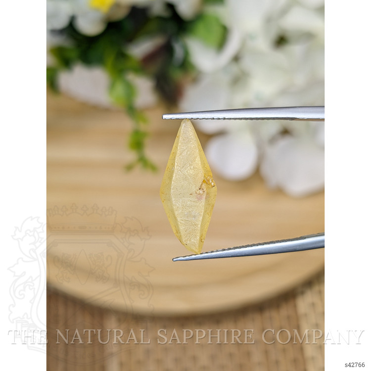 7.70 Ct. Yellow Sapphire from Ceylon (Sri Lanka)