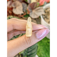 17.63 Ct. Yellow Sapphire from Ceylon (Sri Lanka) Life Style