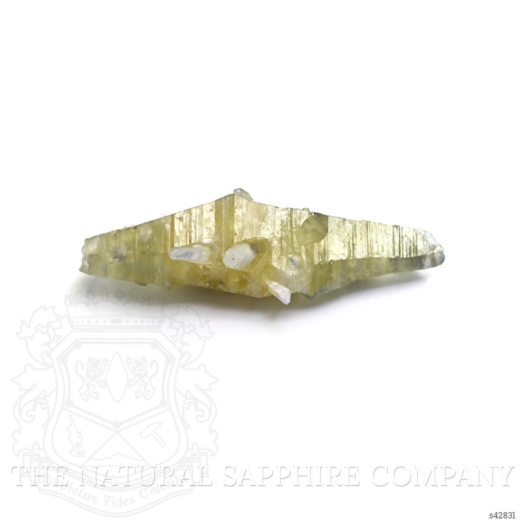 66.10 Ct. Greenish Yellow Sapphire Crystal from Ceylon (Sri Lanka)