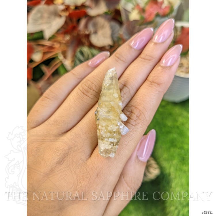 66.10 Ct. Greenish Yellow Sapphire Crystal from Ceylon (Sri Lanka)