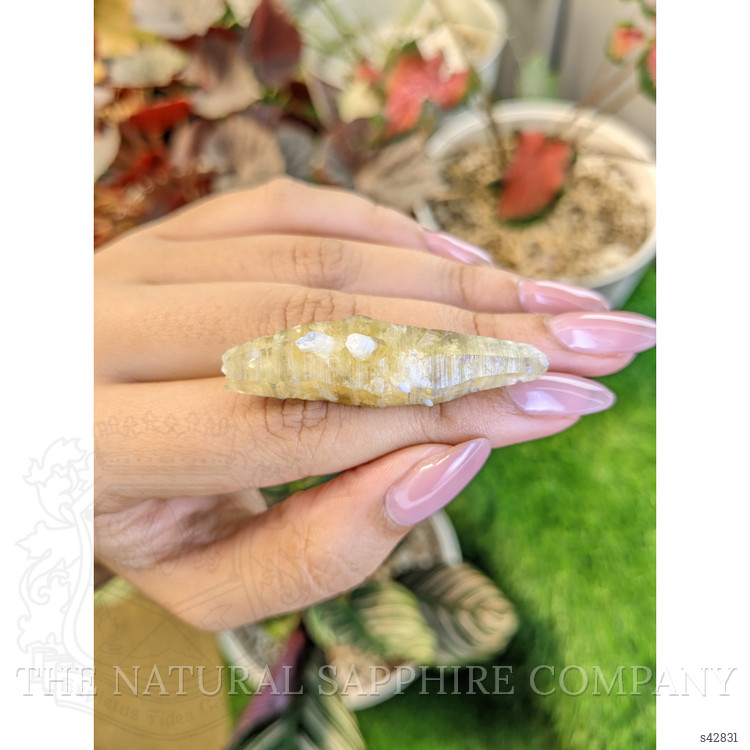 66.10 Ct. Greenish Yellow Sapphire Crystal from Ceylon (Sri Lanka)