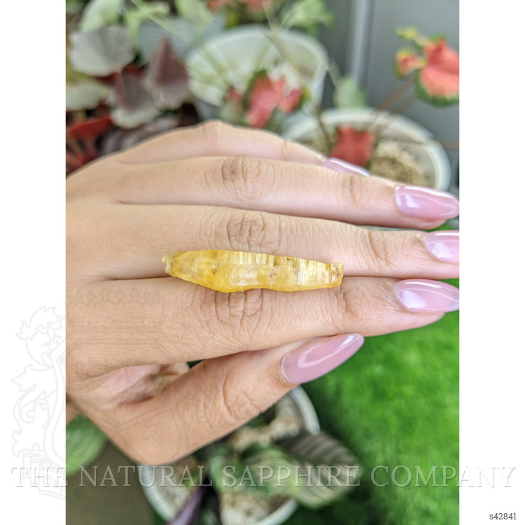 21.68 Ct. Yellow Sapphire from Ceylon (Sri Lanka)