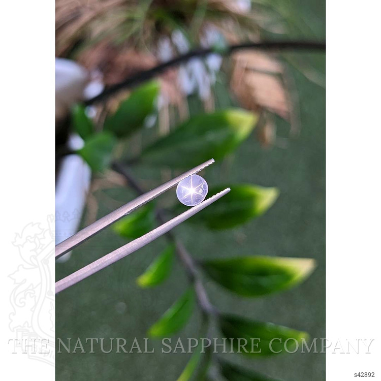 1.68 Ct. White Star Sapphire from Ceylon (Sri Lanka)