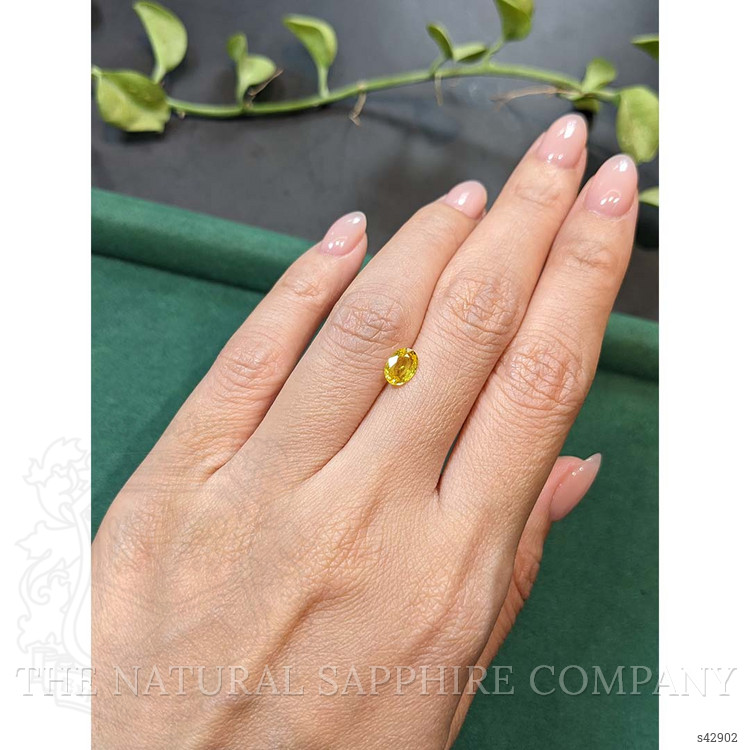 0.86 Ct. Yellow Sapphire from Thailand