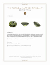 0.61 Ct. Yellowish Green Sapphire from Thailand Appraisal