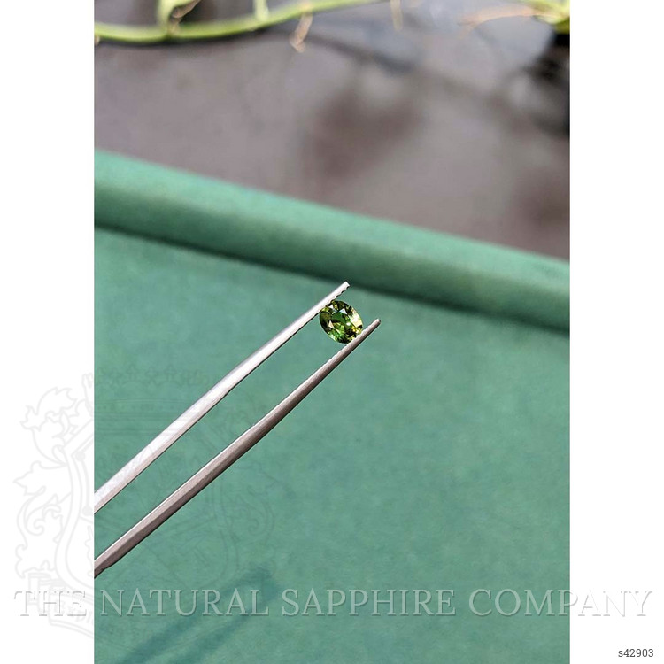 0.61 Ct. Yellowish Green Sapphire from Thailand