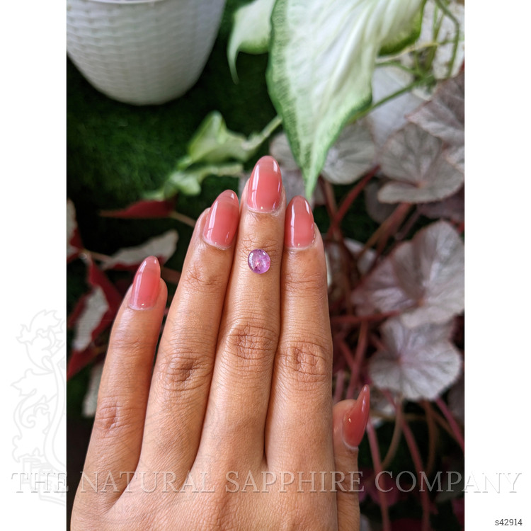 1.57 Ct. Pinkish Purple Star Sapphire from Ceylon (Sri Lanka)
