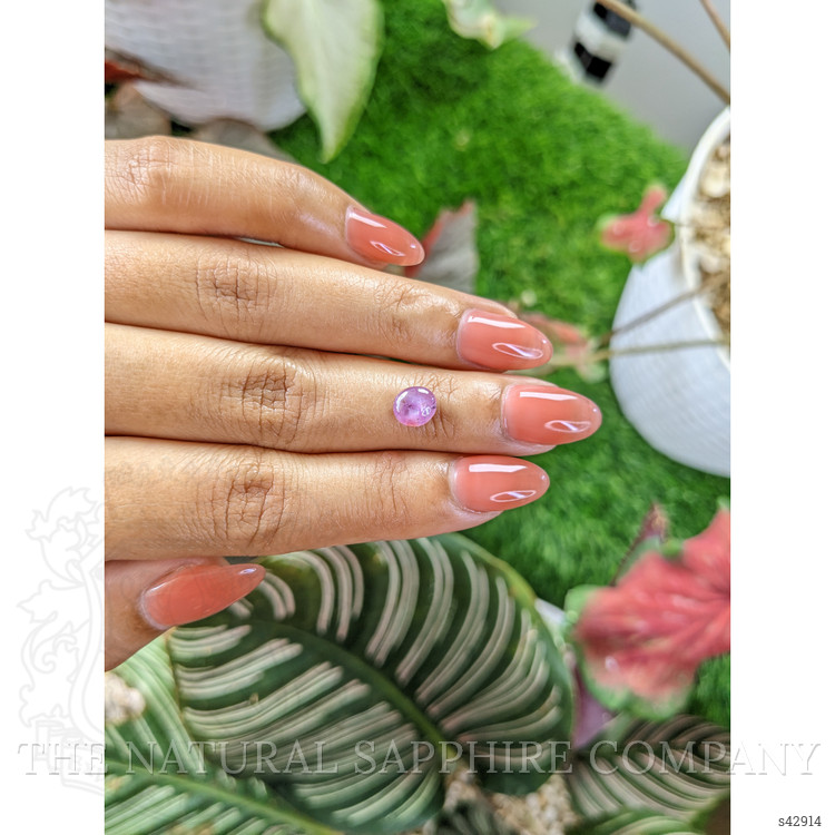 1.57 Ct. Pinkish Purple Star Sapphire from Ceylon (Sri Lanka)