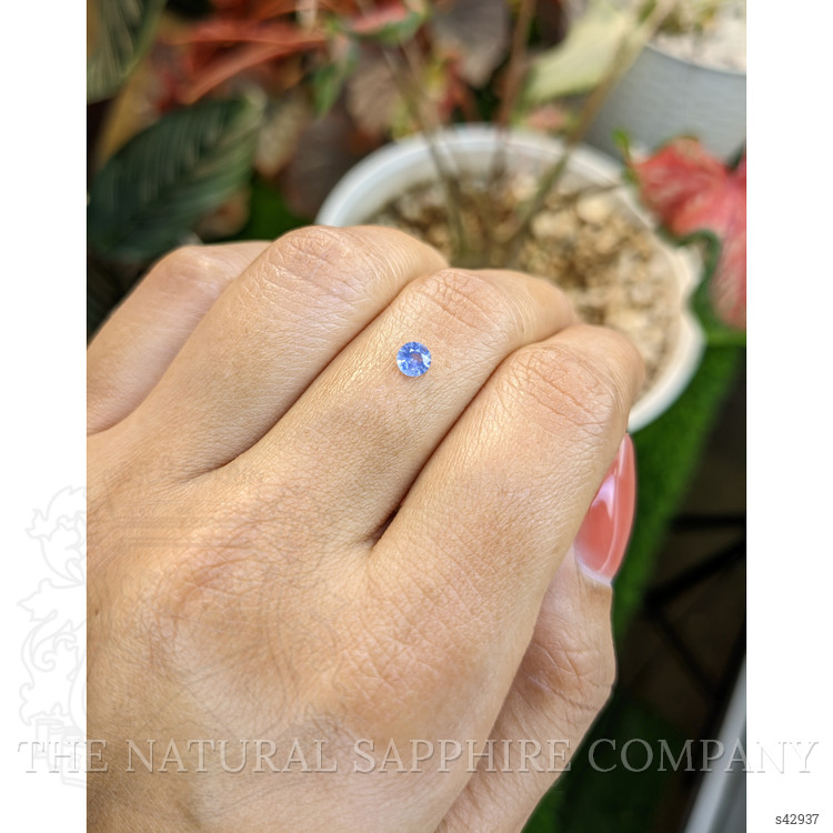0.25 Ct. Blue Sapphire from Ceylon (Sri Lanka)