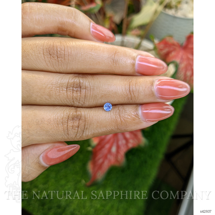0.25 Ct. Blue Sapphire from Ceylon (Sri Lanka)