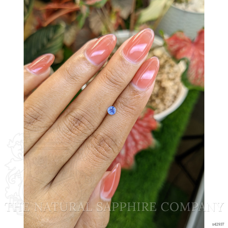 0.25 Ct. Blue Sapphire from Ceylon (Sri Lanka)