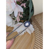 3.65 Ct. Greyish Blue Star Sapphire from Ceylon (Sri Lanka) Life Style