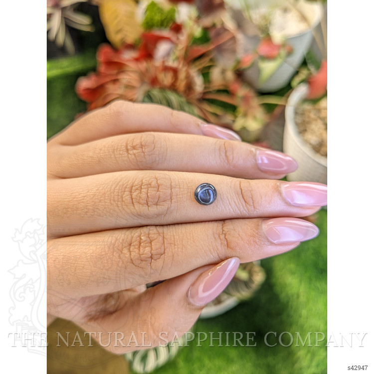1.58 Ct. Greyish Blue Star Sapphire from Ceylon (Sri Lanka)