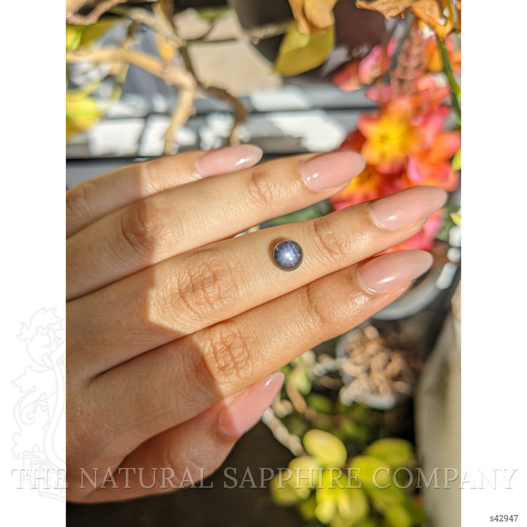 1.58 Ct. Greyish Blue Star Sapphire from Ceylon (Sri Lanka)