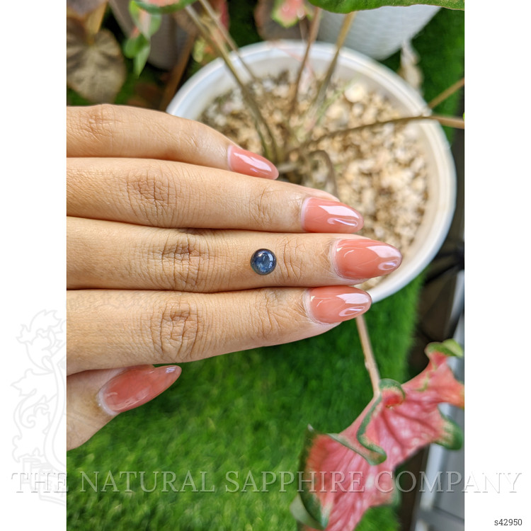 2.03 Ct. Purple Star Sapphire from Ceylon (Sri Lanka)