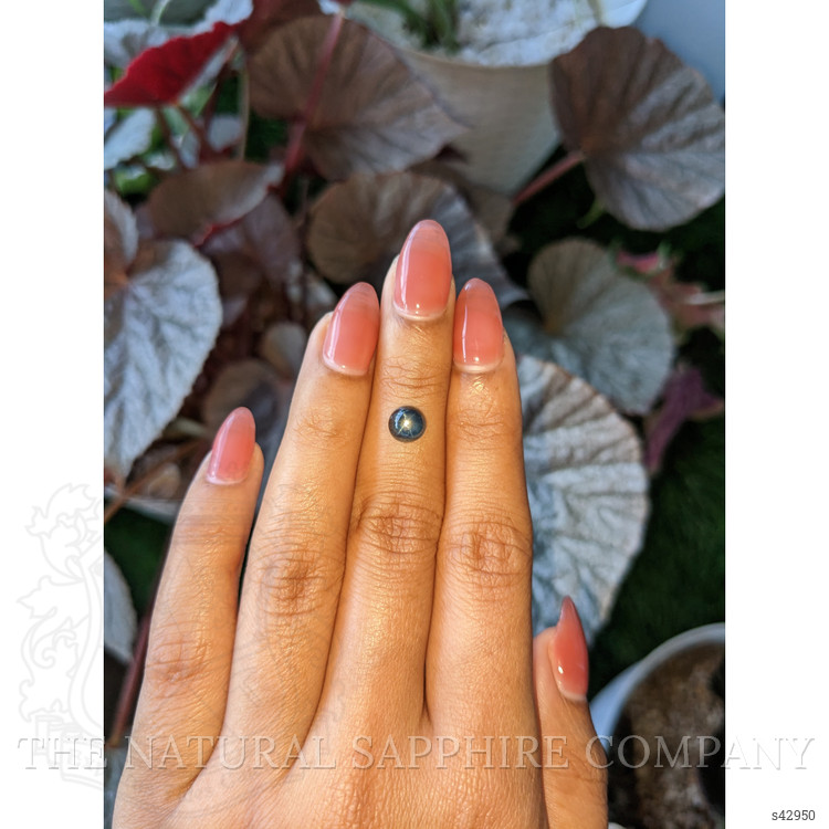 2.03 Ct. Purple Star Sapphire from Ceylon (Sri Lanka)