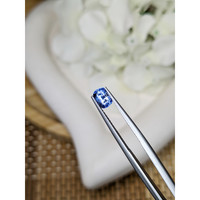 0.99 Ct. Blue Sapphire from Ceylon (Sri Lanka) Life Style