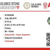 Jewelry Scan Report
