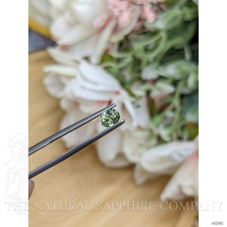 0.55 Ct. Yellowish Green Sapphire from Ceylon (Sri Lanka)