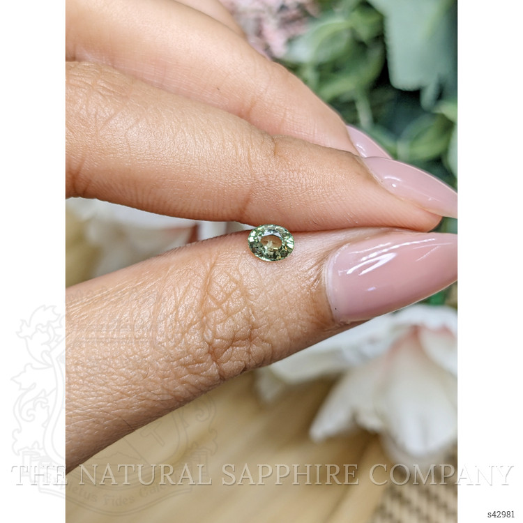 0.55 Ct. Yellowish Green Sapphire from Ceylon (Sri Lanka)