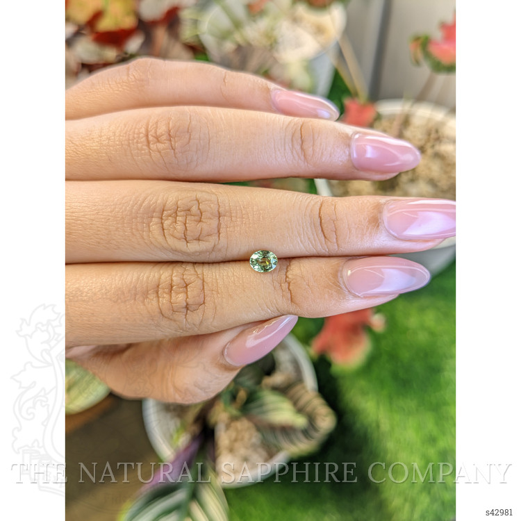 0.55 Ct. Yellowish Green Sapphire from Ceylon (Sri Lanka)