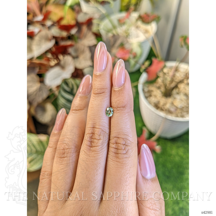 0.55 Ct. Yellowish Green Sapphire from Ceylon (Sri Lanka)