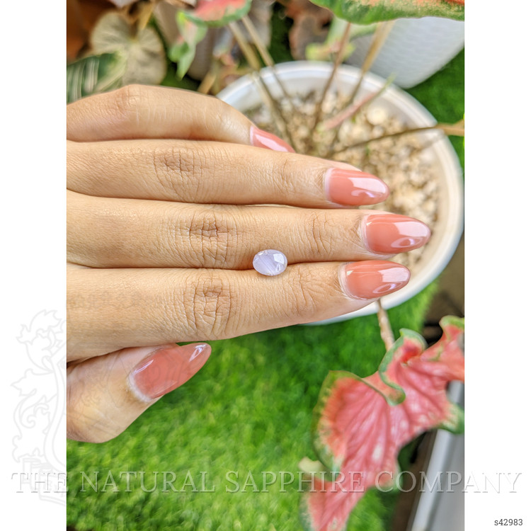 2.15 Ct. Purple Star Sapphire from Ceylon (Sri Lanka)