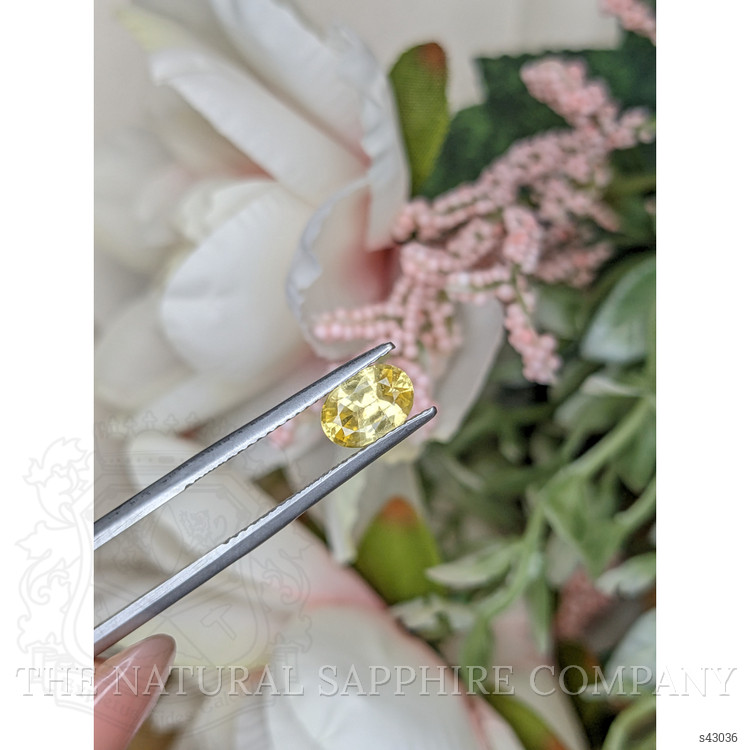 1.02 Ct. Yellow Sapphire from Ceylon (Sri Lanka)
