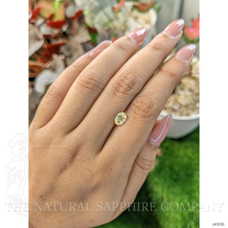 1.02 Ct. Yellow Sapphire from Ceylon (Sri Lanka)